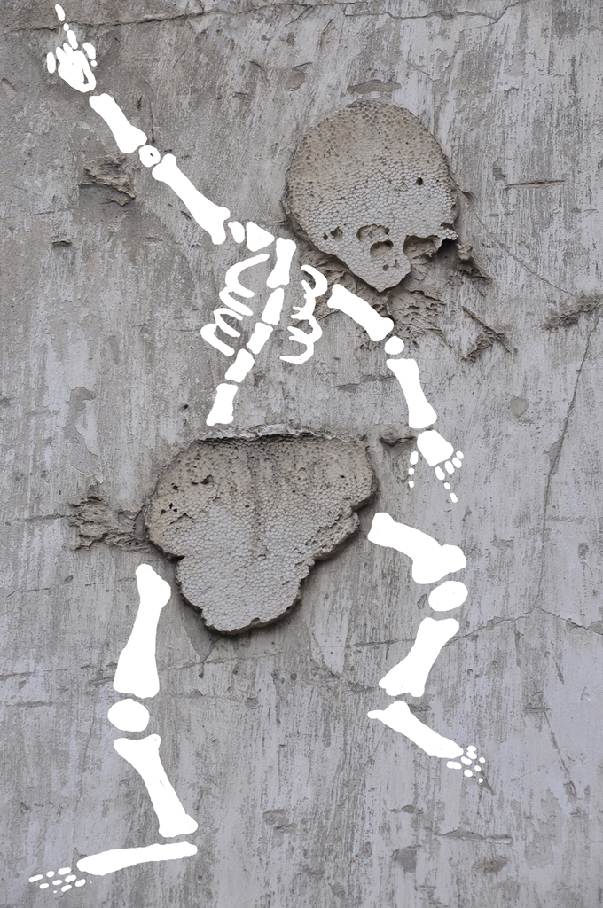 sandrine estrade boulet - skeletoon